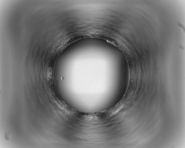 X0000094970284200712201229