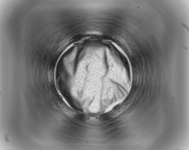 X0000094970285200712201229