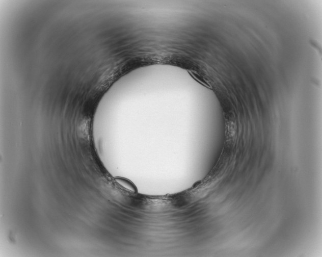 X0000094970286200712201229