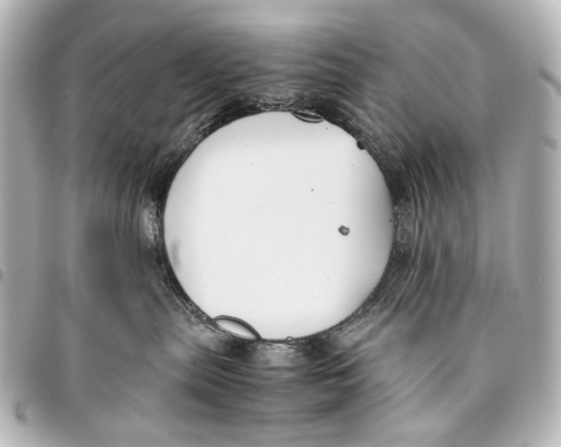 X0000094970287200712201229