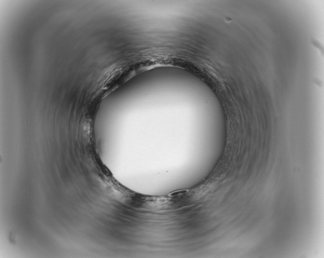 X0000094970288200712201229