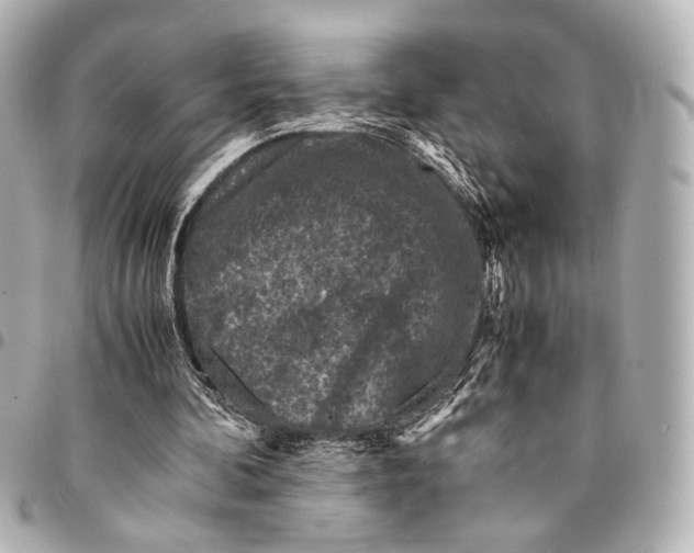 X0000094970292200712201229