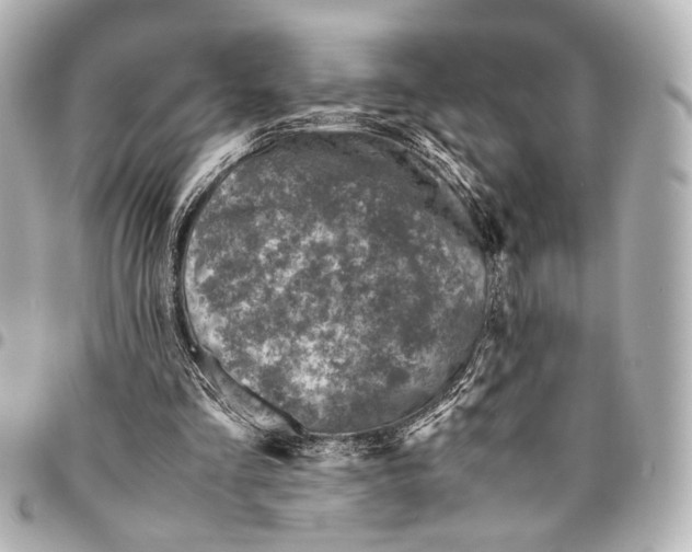 X0000094970293200712201229