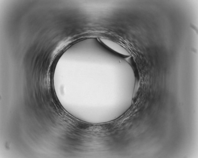 X0000094970294200712201229