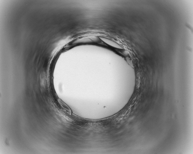 X0000094970296200712201229