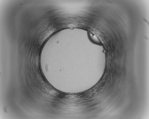 X0000094970297200712201228