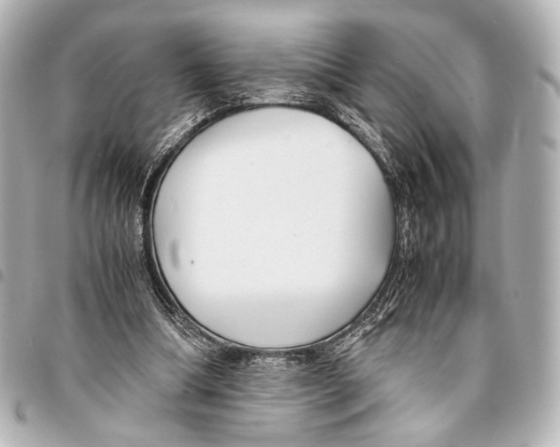 X0000094970298200712201228