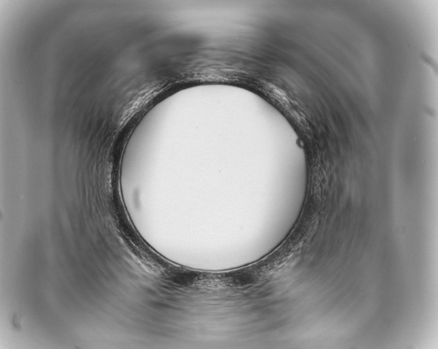 X0000094970299200712201228