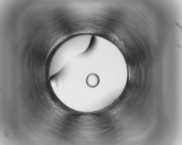 X0000094970300200712201228