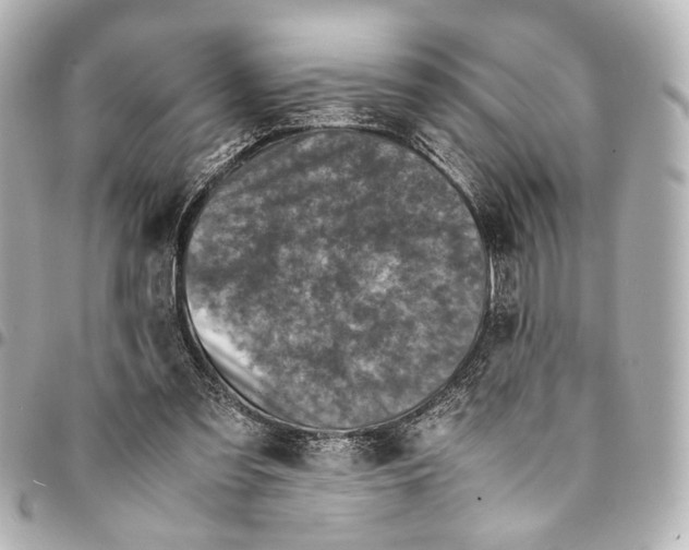 X0000094970301200712201228