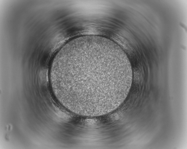 X0000094970302200712201228