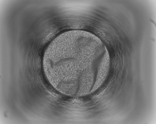 X0000094970303200712201228