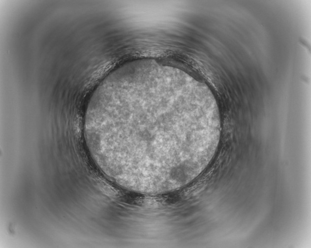 X0000094970305200712201228