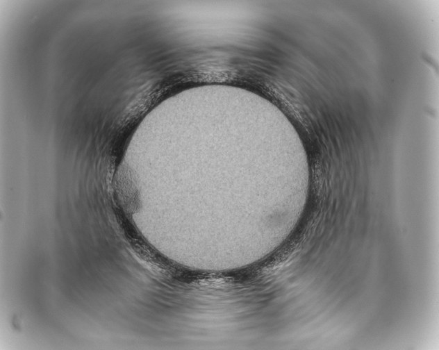 X0000094970307200712201228