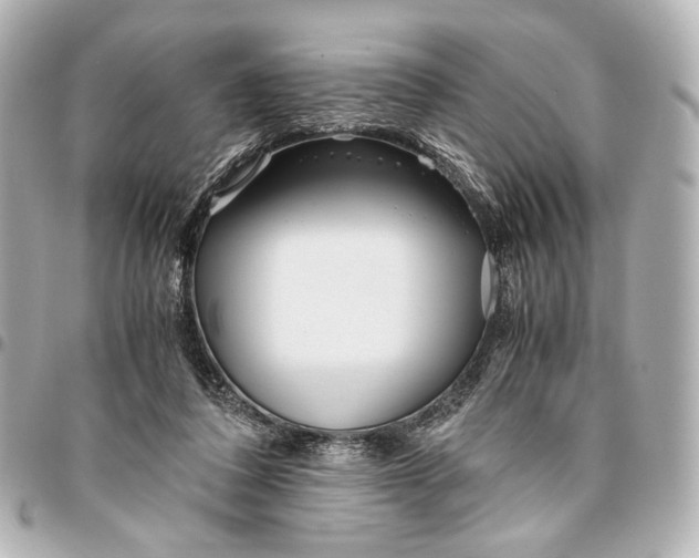 X0000094970308200712201228