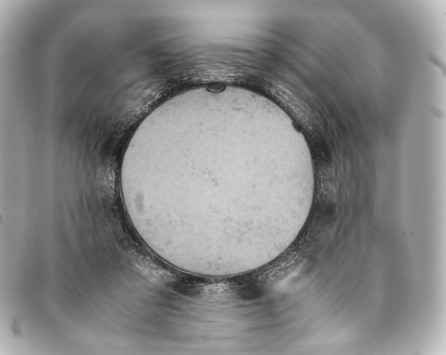 X0000094970309200712201228