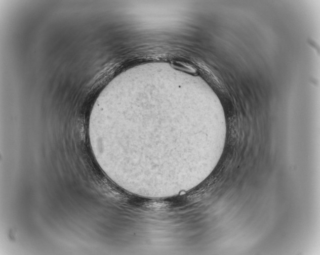 X0000094970313200712201228