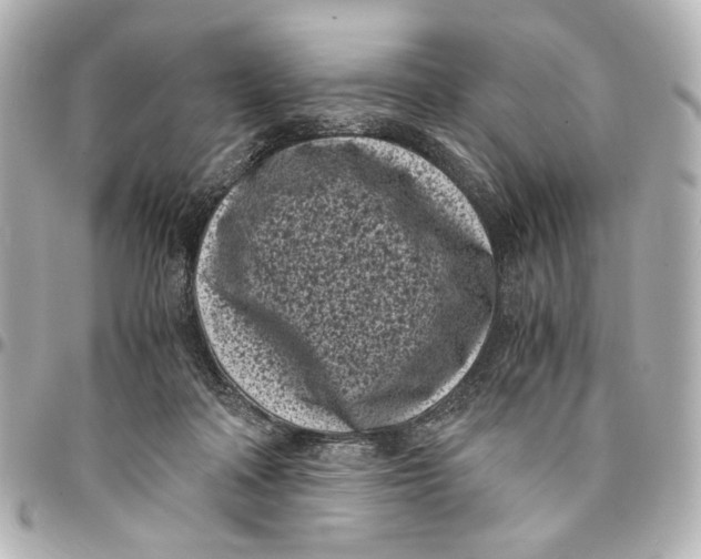 X0000094970314200712201228