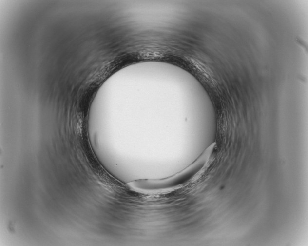 X0000094970315200712201228