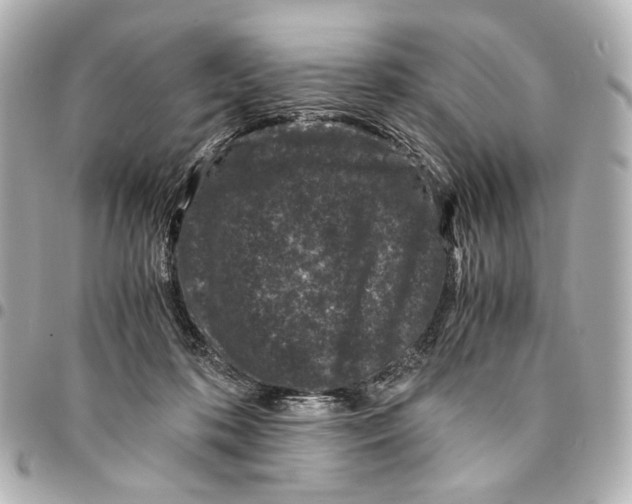 X0000094970316200712201228