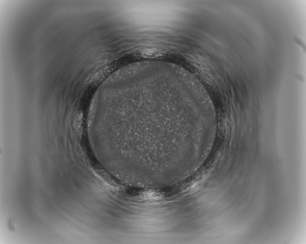 X0000094970319200712201228