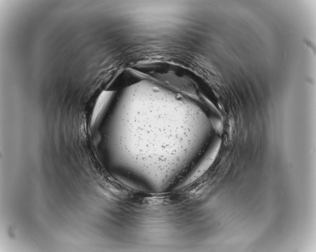 X0000094970320200712201228