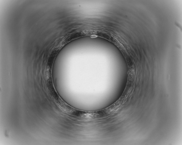 X0000094970323200712201228