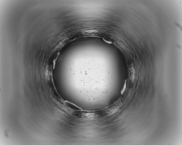 X0000094970324200712201228