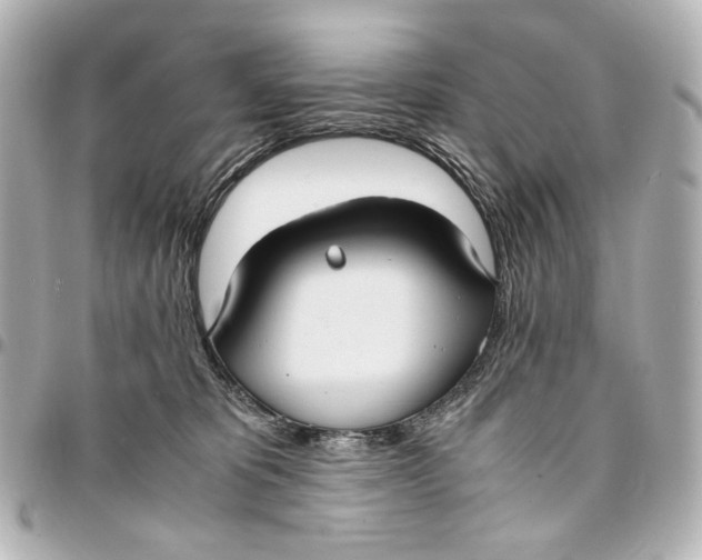 X0000094970325200712201228