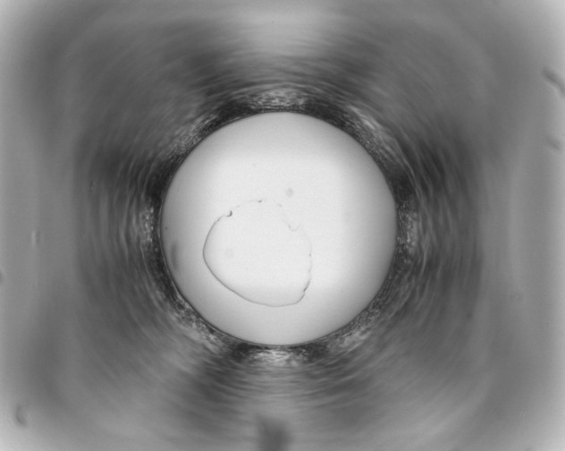 X0000094970326200712201228