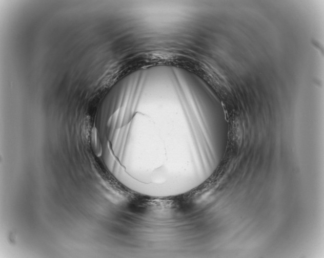 X0000094970328200712201228