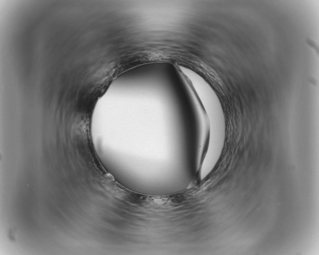 X0000094970329200712201228