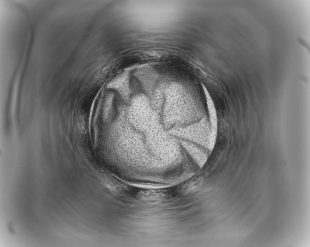 X0000094970331200712201228