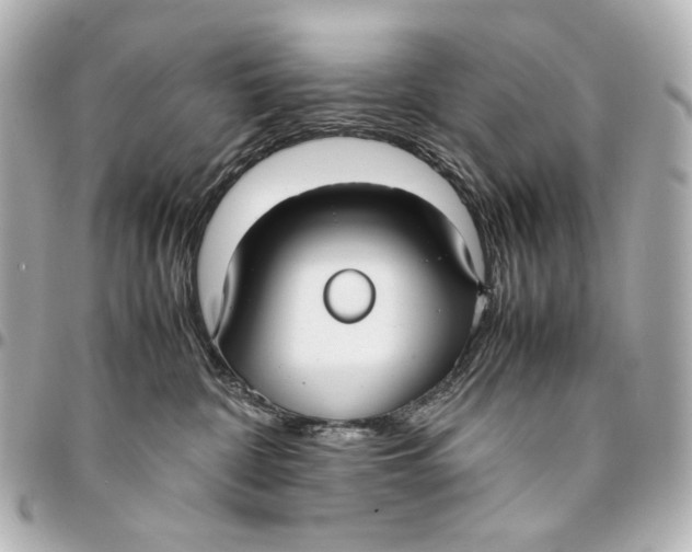 X0000094970332200712201228