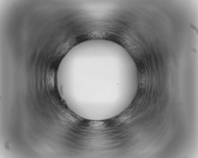 X0000094970334200712201228