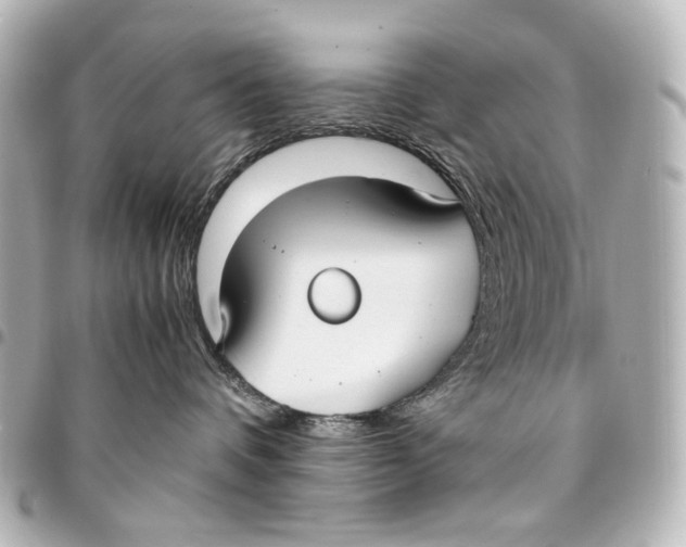 X0000094970336200712201228