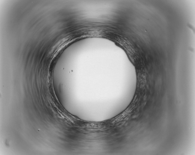 X0000094970338200712201227