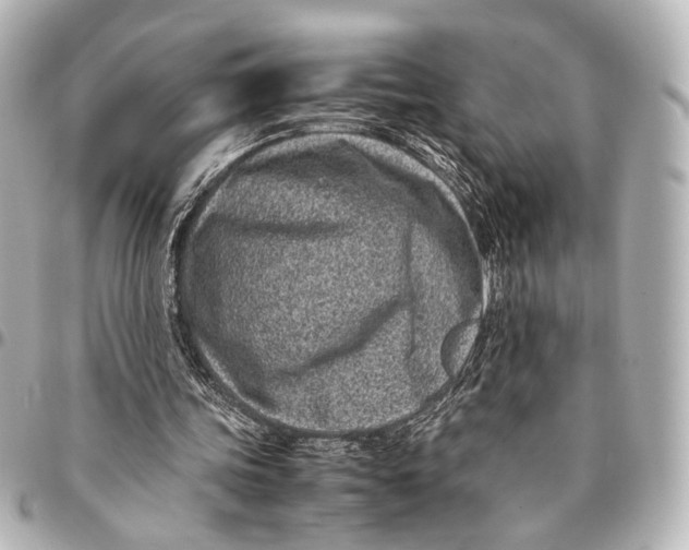 X0000094970339200712201227