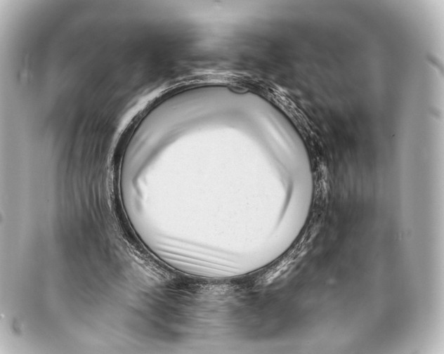 X0000094970342200712201227