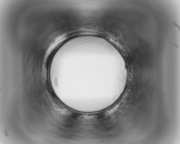 X0000094970343200712201227