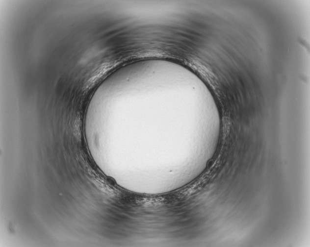 X0000094970345200712201227