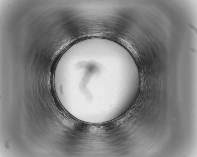 X0000094970346200712201227