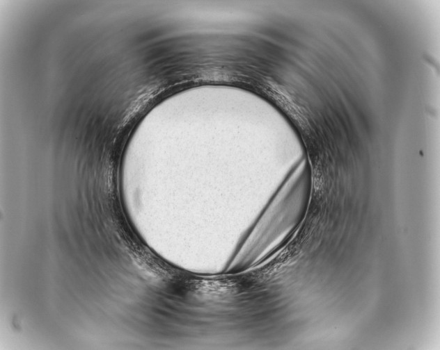 X0000094970347200712201227