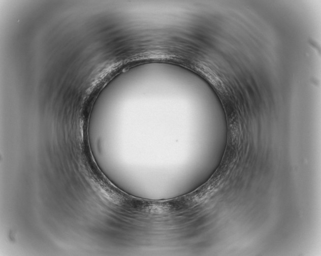 X0000094970350200712201227