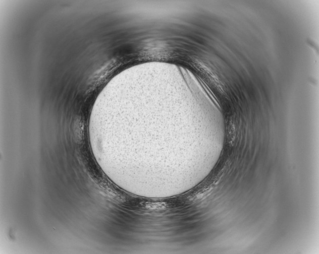 X0000094970355200712201228