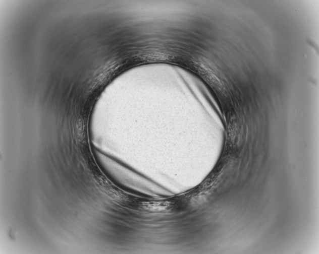 X0000094970359200712201228