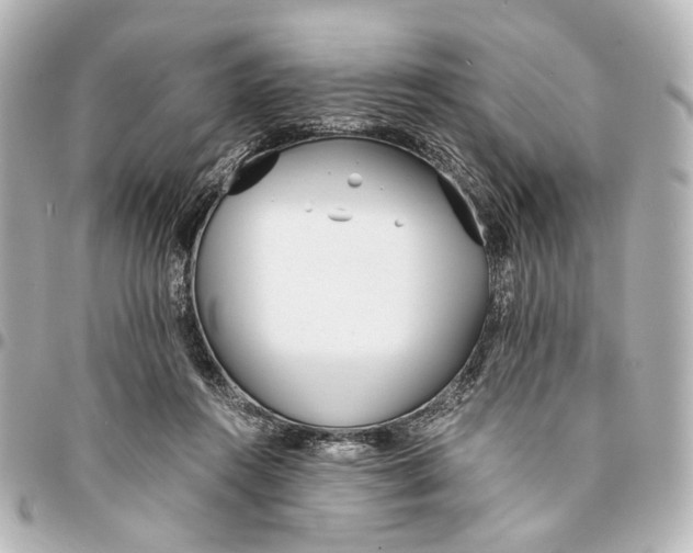 X0000094970360200712201228