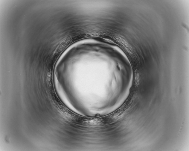 X0000094970365200712201228