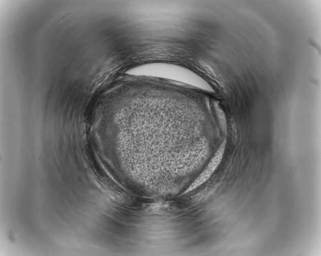 X0000094970366200712201228