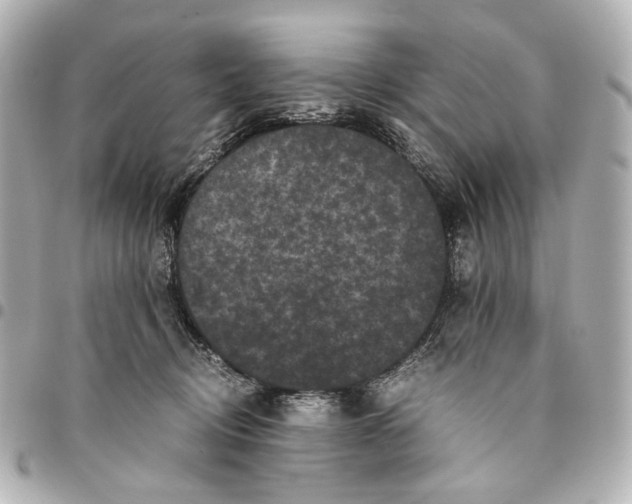 X0000094970370200712201228